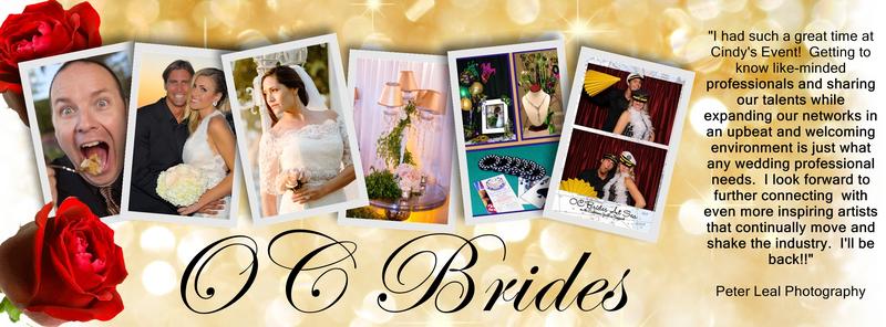 Connecting Brides with Trusted WEdding Professionals